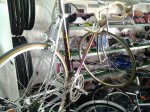 2013-04-12 11.55.48.jpg