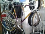 2013-04-12 11.55.58.jpg