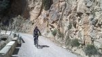 DSC_0217.jpg