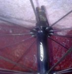 rueda 5.jpg