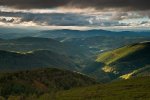 sized_DSC_0120.JPG