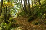 sized_DSC_0012.JPG