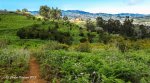 IMG_6969.jpg