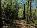 IMG_6988.jpg