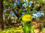 IMG_6994.jpg