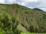IMG_7002.jpg