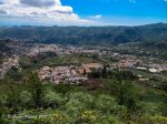 IMG_7004.jpg