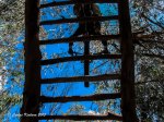 IMG_7141.jpg