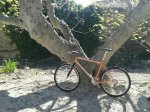 20130420_180432.JPG