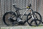 Kabush SeaOtter.jpg
