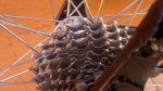 2013-04-12-246 web.jpg