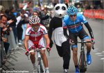 lbl13-martinbear620.jpg