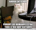 CG_24936_ahora_lo_entiendo_todo.jpg