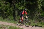 DSC_0453-WM.jpg