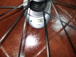 DSCF1517.JPG