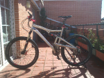 bici4.png