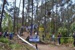 DSC_0529.JPG