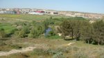 DSC09208.JPG
