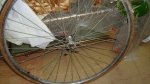 DSC02350.jpg