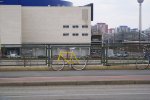 DSC01553.JPG