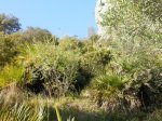 2013-04-23 18.40.20_800x600.jpg