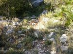 2013-04-23 18.44.55_800x600.jpg