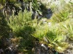 2013-04-23 18.47.34_800x600.jpg