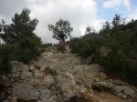 Abril Extrem 076 [Resolucion de Escritorio].jpg