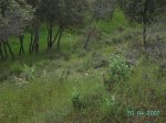 PICT2883.JPG