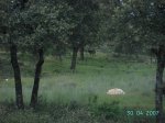 PICT2887.JPG