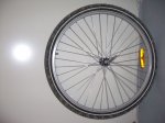 IMGP2773.JPG