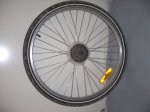 IMGP2775.JPG