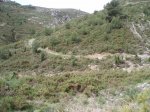 imagen 049_2.jpg