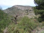 imagen 051_2.jpg