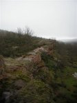 DSCN1506.JPG