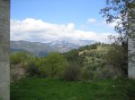 IMG_2508.JPG