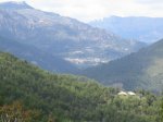 IMG_2510.JPG