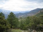 IMG_2511.JPG