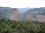 IMG_2514.JPG