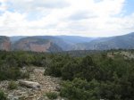 IMG_2515.JPG