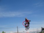 IMG_6533.jpg