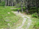 Imagen 003 (Medium).jpg