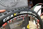 IMG_10681-600x400.jpg