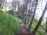 2013-04-17 17_opt.jpg