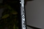DSC_0236.JPG