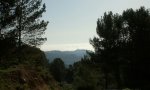 IMG-20130414-WA001.jpg