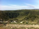 IMG-20130421-WA000.jpg