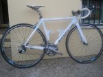 focus cayo 1 carbono 001.JPG