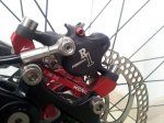 20130425_084610.jpg