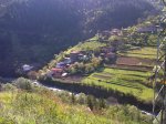 DSC00005.jpg